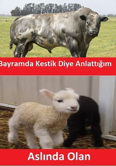Bayram neşesi 36