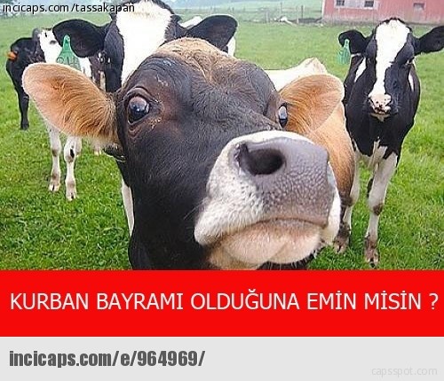 Bayram neşesi 11