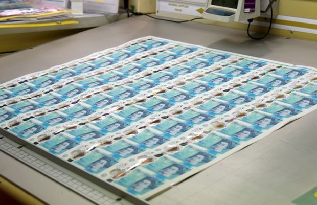 Bu parayı yırtmak imkansız 11