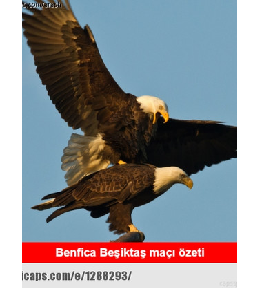 Benfica Beşiktaş maçı capsleri 1
