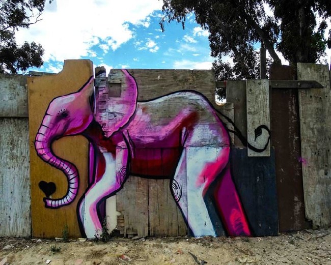 Afrika’nın renkli filleri 10