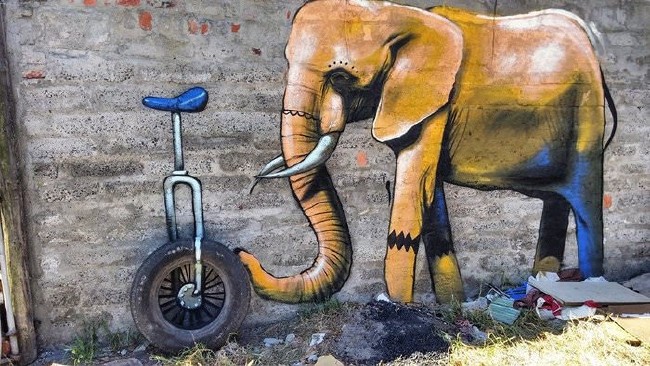 Afrika’nın renkli filleri 16