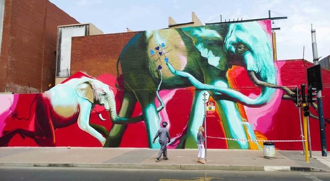 Afrika’nın renkli filleri 17