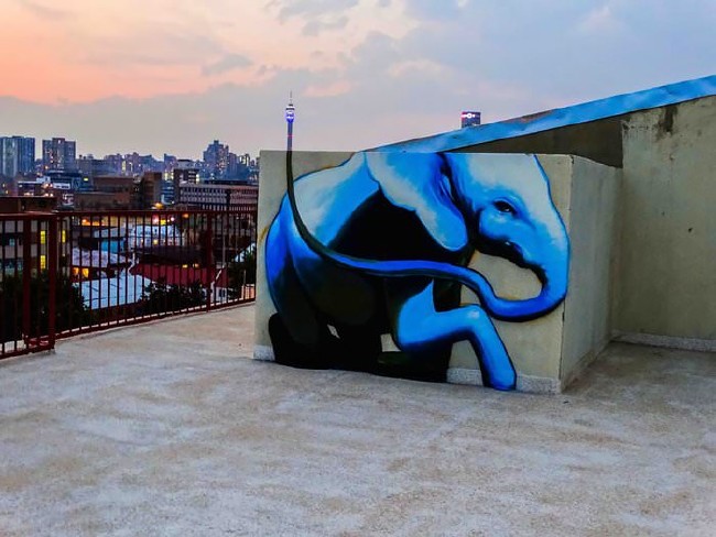 Afrika’nın renkli filleri 18