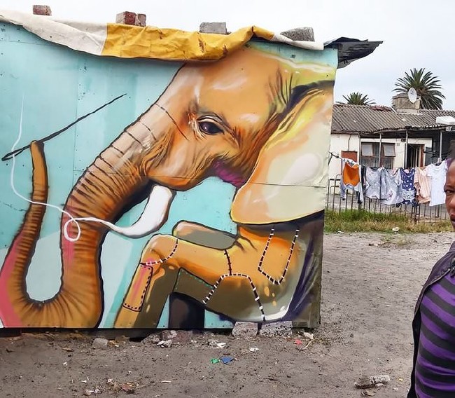 Afrika’nın renkli filleri 23