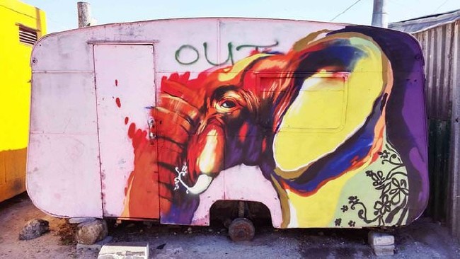 Afrika’nın renkli filleri 24