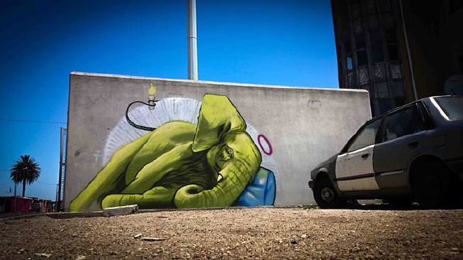 Afrika’nın renkli filleri 2