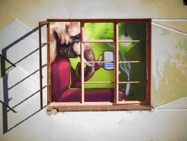 Afrika’nın renkli filleri 4