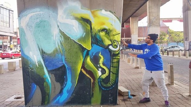 Afrika’nın renkli filleri 6