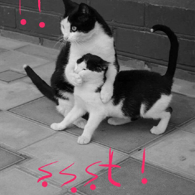 iOS 10'nun gizli ama faydalı özellikleri 5