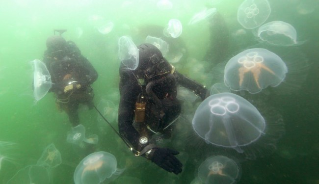 En korkutucu özel birlikler 4