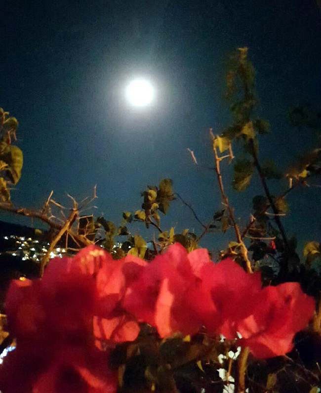 Muhteşem tutulma 11