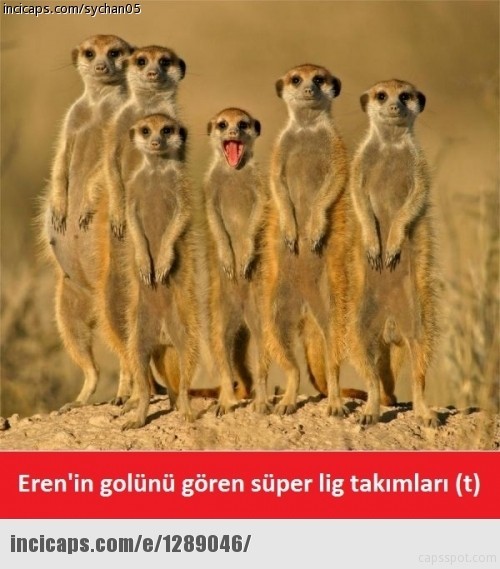 Eren Derdiyok rövaşatayla gol attı capsler patladı 2