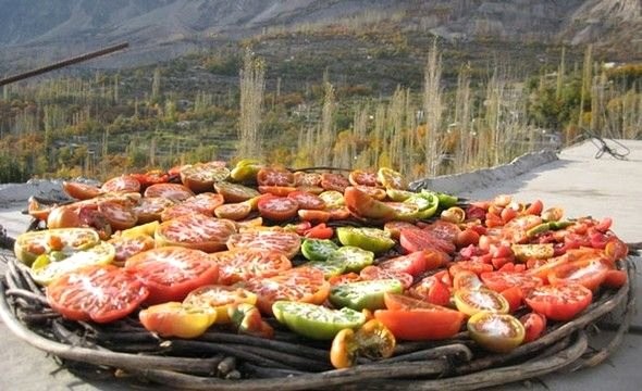 120 yıl yaşayan Hunza Türklerinin yaşam sırrı! 10