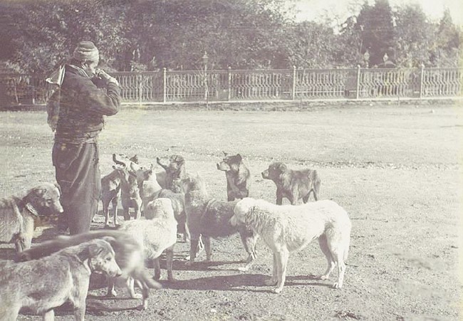 İstanbul'un efsane divaneleri 29