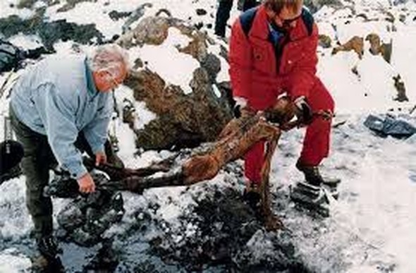 Tıp dünyasına umut kaynağı oldu 8