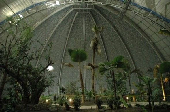 Dışı hangar, içi tropik ada 11