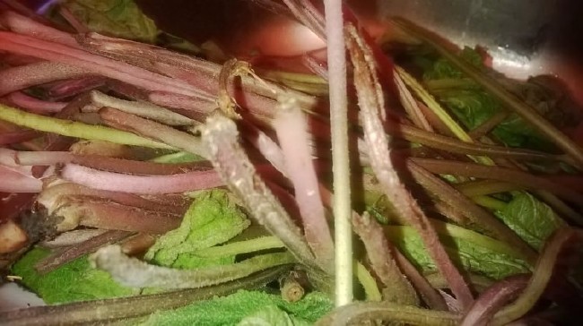 İşte aktarlarda satışı yasaklanan 38 ürün 12