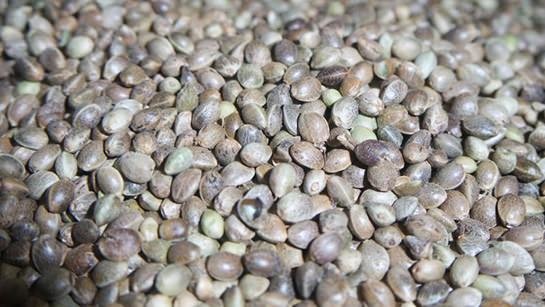 İşte aktarlarda satışı yasaklanan 38 ürün 18