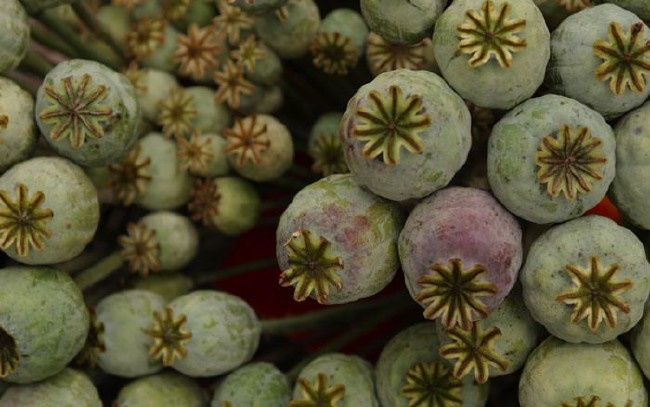 İşte aktarlarda satışı yasaklanan 38 ürün 23