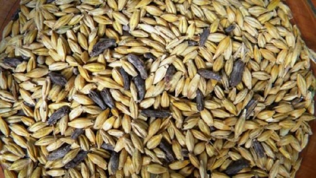 İşte aktarlarda satışı yasaklanan 38 ürün 29