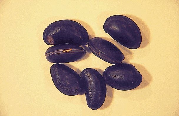 İşte aktarlarda satışı yasaklanan 38 ürün 30