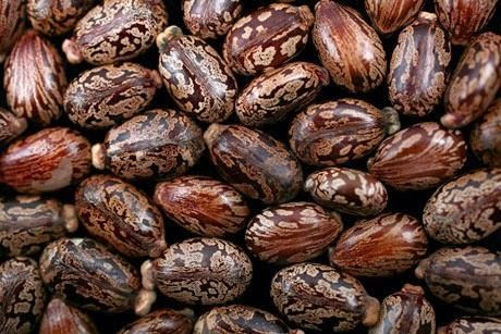 İşte aktarlarda satışı yasaklanan 38 ürün 33