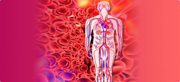 Uçaklar direk uçmak yerine neden eğri çizer? 12