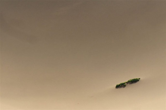 Tek başına Gobi Çölü'nü geçen çılgın Türk 6