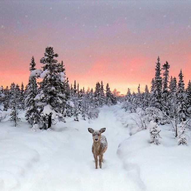 Masalsı fotoğraflarla ünlü olan sanatçı 9