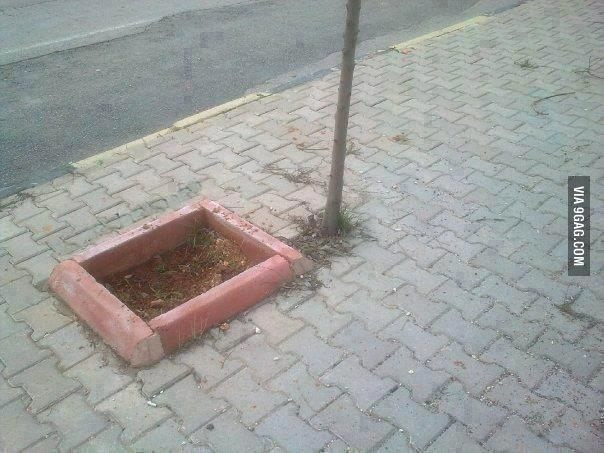 Dünya dönerken Türkler! 16