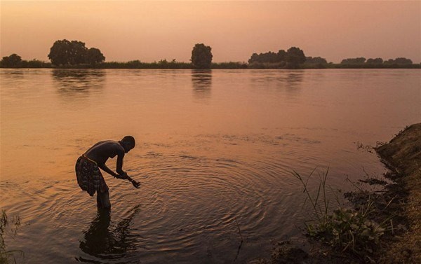 Sabah yaptıları ilk iş inek idrarını... 10