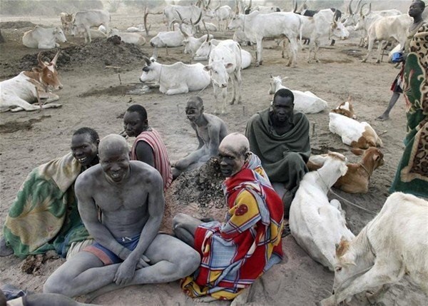 Sabah yaptıları ilk iş inek idrarını... 16