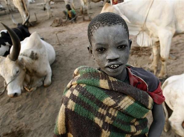 Sabah yaptıları ilk iş inek idrarını... 18