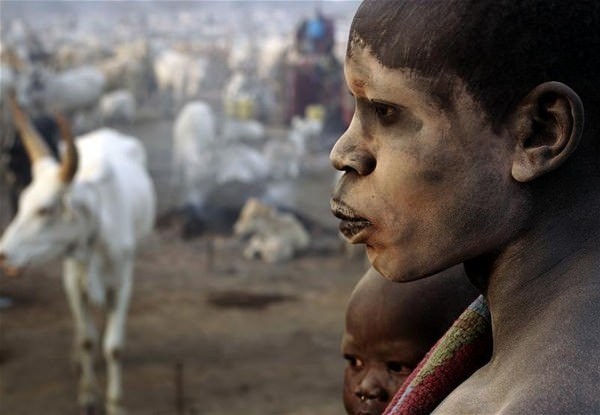 Sabah yaptıları ilk iş inek idrarını... 20