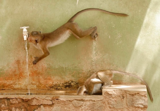 2016'nın en iyi fotoğrafları 10