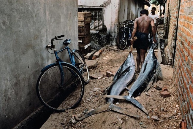 2016'nın en iyi fotoğrafları 32