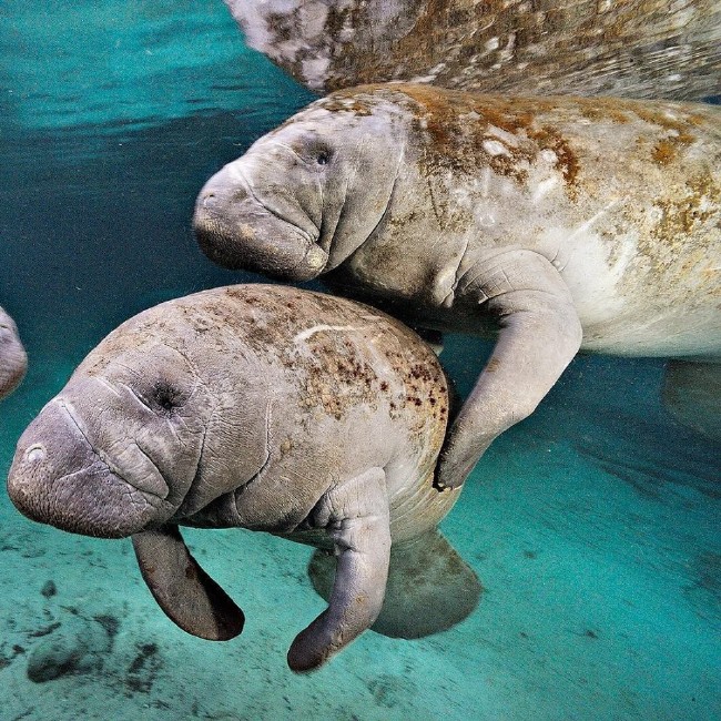 2016'nın en iyi fotoğrafları 38