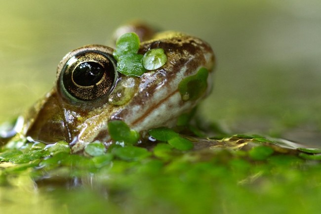 2016'nın en iyi fotoğrafları 9
