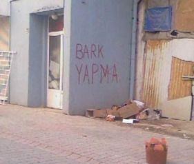 Google kamerasına yakalanan Türkler 31