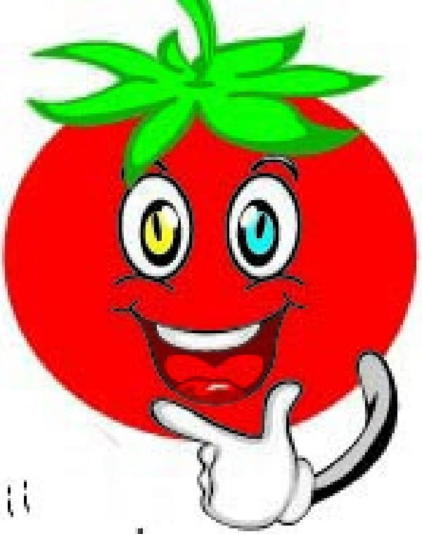 Jeotermal domatese gel 10