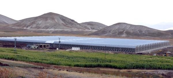 Jeotermal domatese gel 9