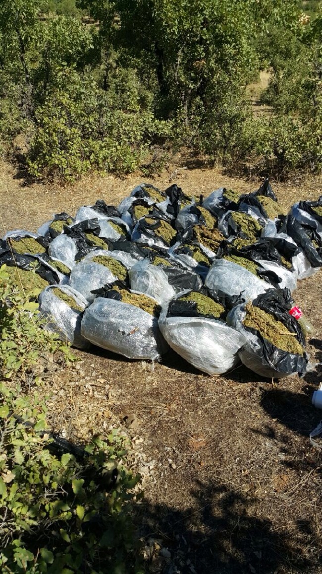 100 milyonluk uyuşturucu 6