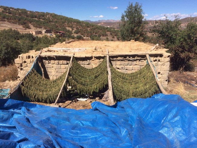 100 milyonluk uyuşturucu 11