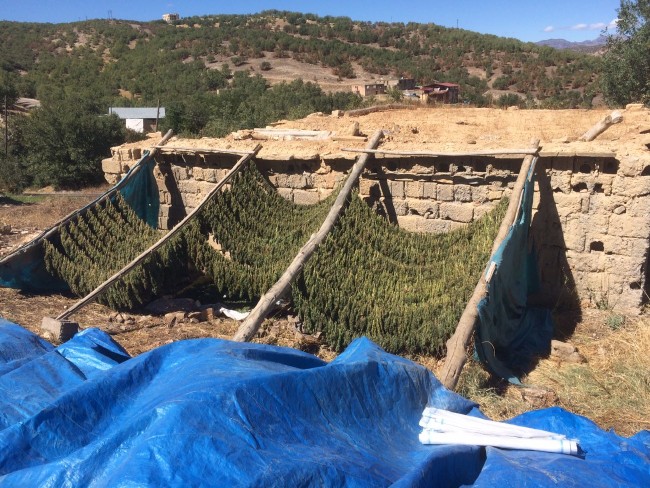 100 milyonluk uyuşturucu 15