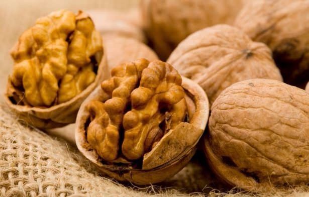 Ölümsüzlük iksiri dev mantar 8