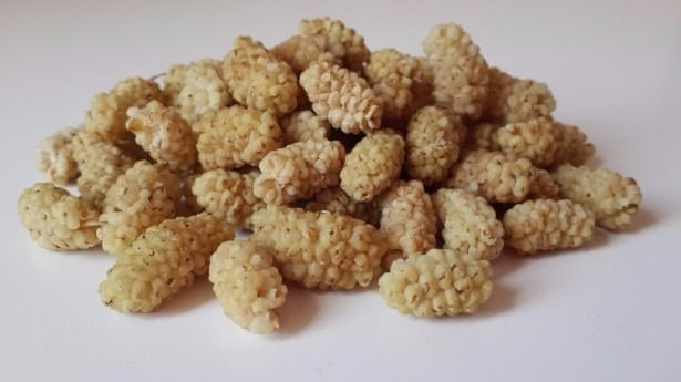 Ölümsüzlük iksiri dev mantar 13