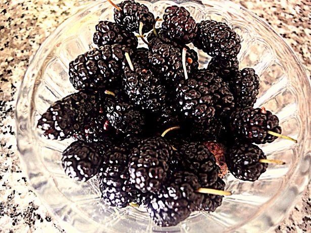 Ölümsüzlük iksiri dev mantar 17