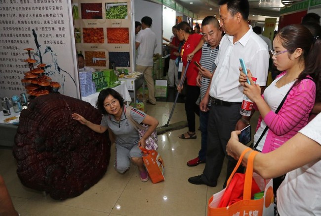 Ölümsüzlük iksiri dev mantar 3