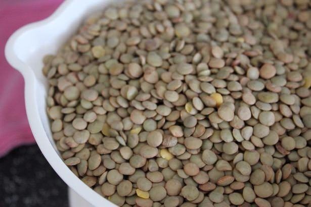 Ölümsüzlük iksiri dev mantar 31